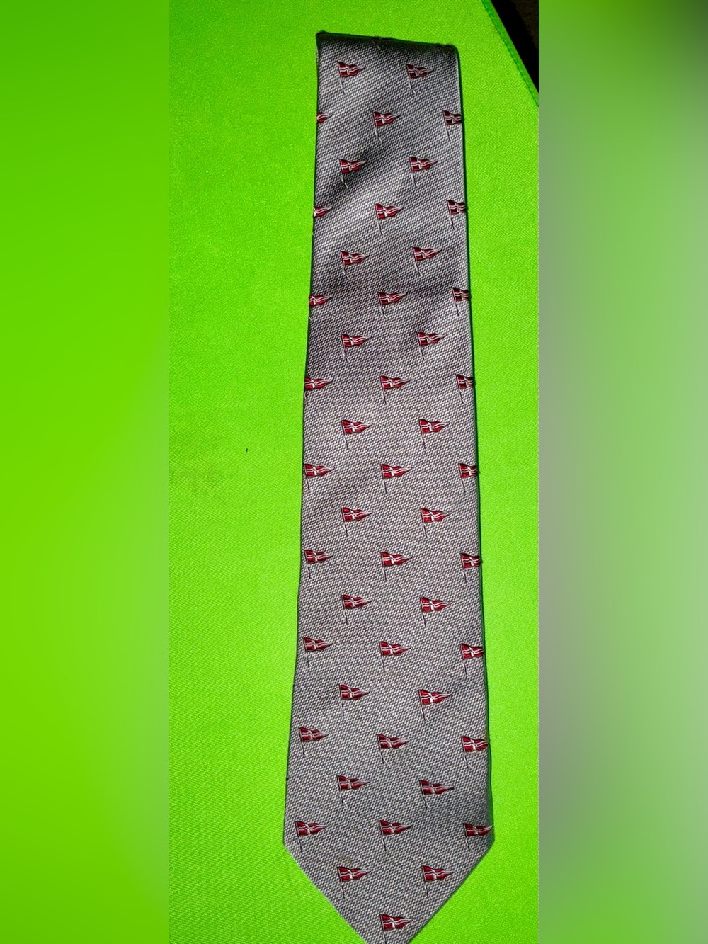 VINTAGE Salvatore Ferragamo Silver-Gray Tie SWANN REGATTAS 2012